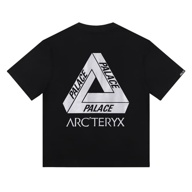 팔라스 x 아크테릭스 반팔티