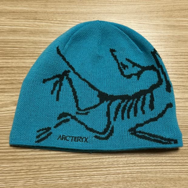 아크테릭스 버드 헤드 토크 블루 테트라