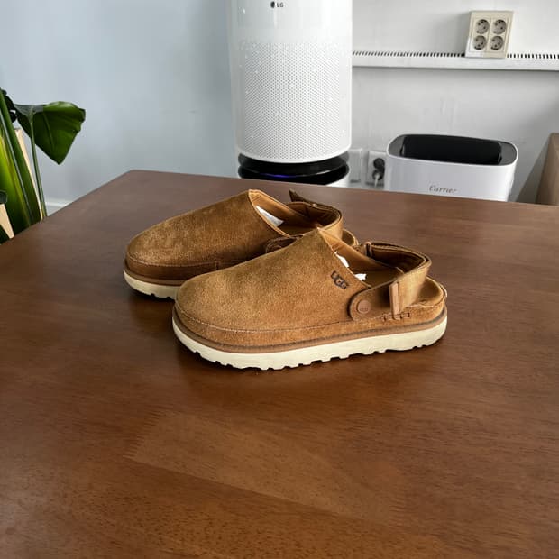 어그 골든스타 클로그 250mm