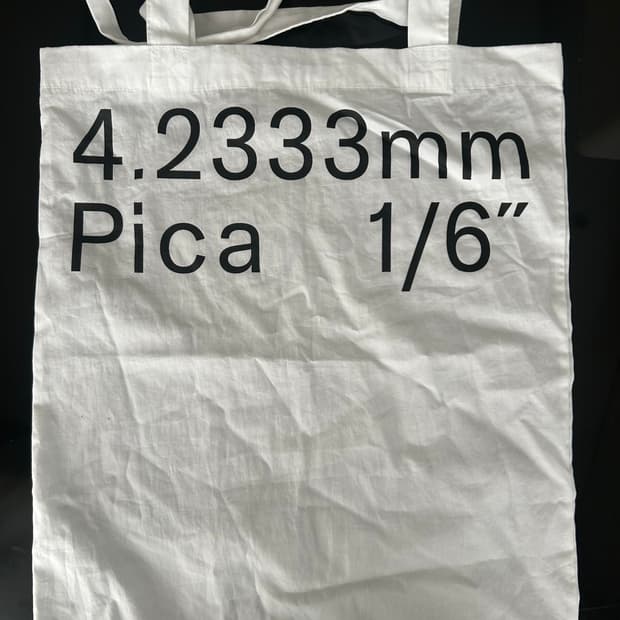 Pica 파이카 에코백
