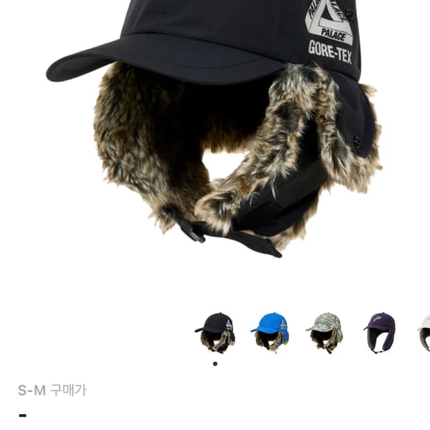 팔라스 고어텍스 도그 이어캡 블랙