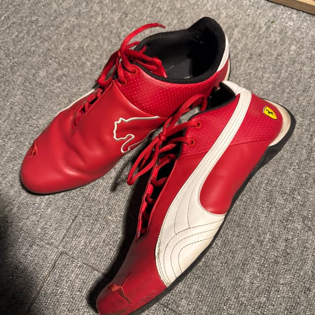 퓨마 페라리 퓨처캣