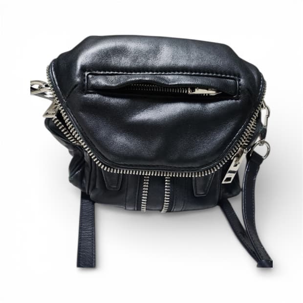 알렉산더왕 마이크로 백