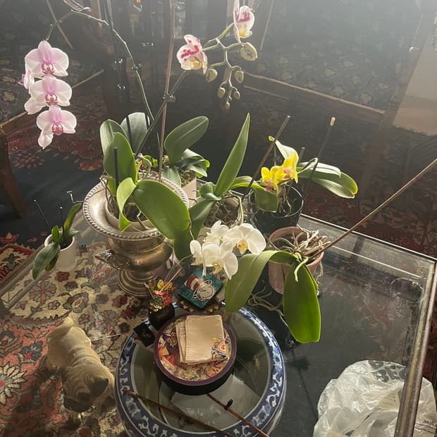 세일