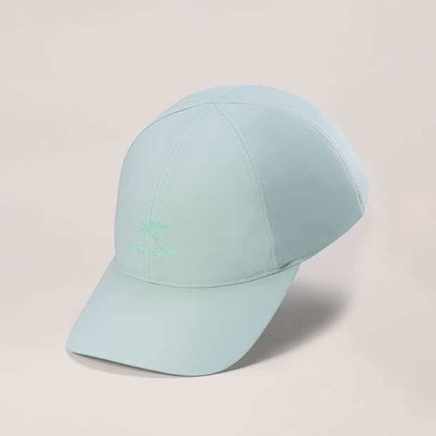 아크테릭스 버드워드 캡 스톤그린