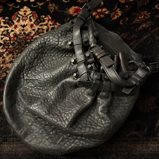 정품 알렉산더왕 디에고 백 