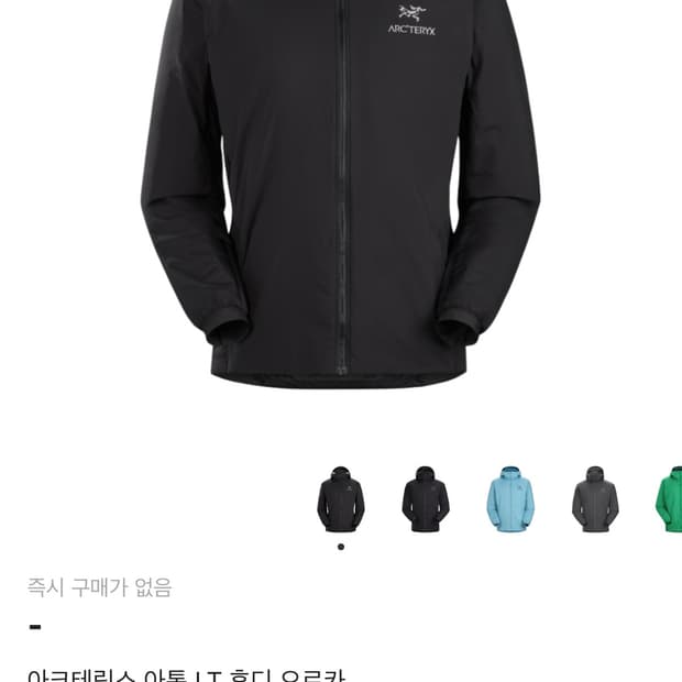 아크테릭스 아톰 LT 후디 오르카 L 사이즈 