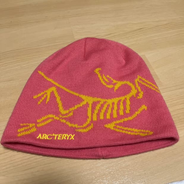 아크테릭스 버드헤드 토크 비니 