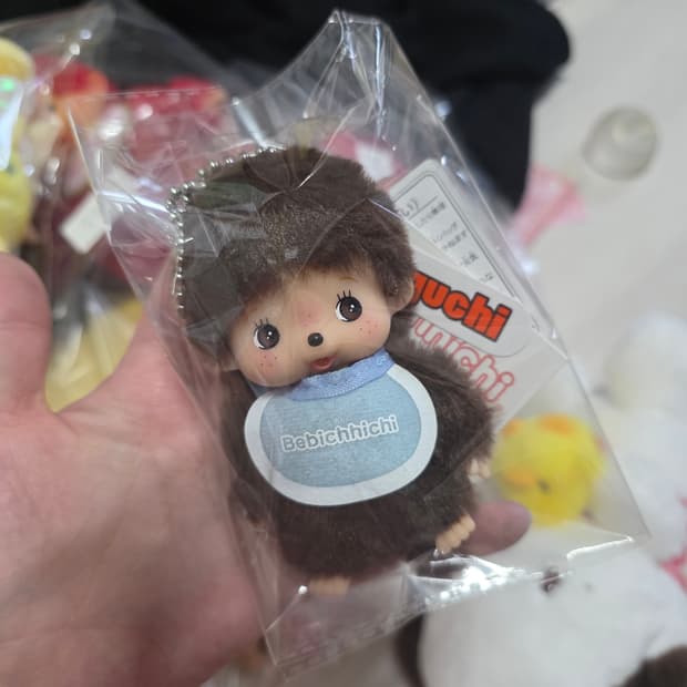 신상 베비치치 남아