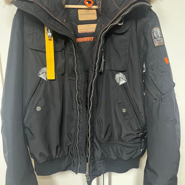 파라점퍼스 고비