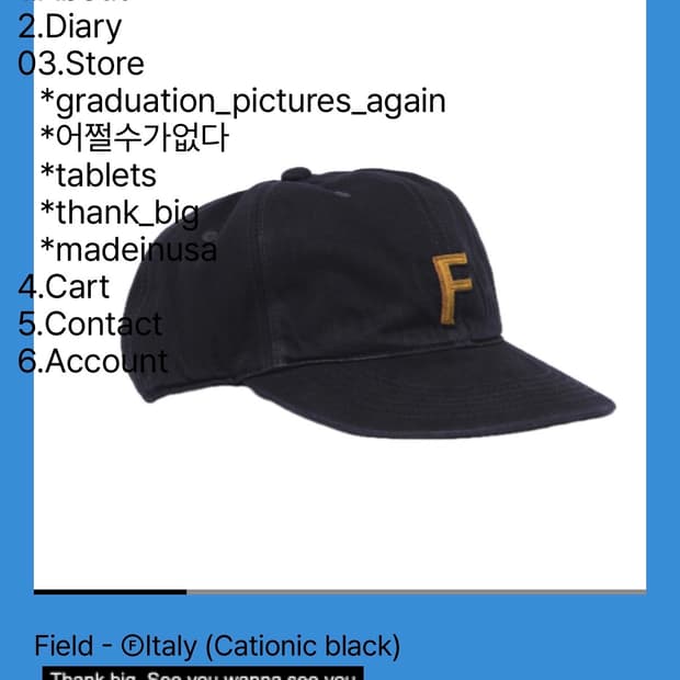 테프스토어즈 Field - Italy (Cationic black) L