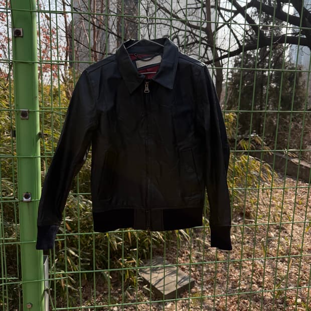 Mangrove 싱글 레더 돈피 자켓