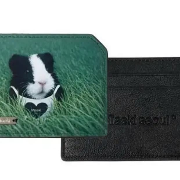 미세키 기니 카드 지갑