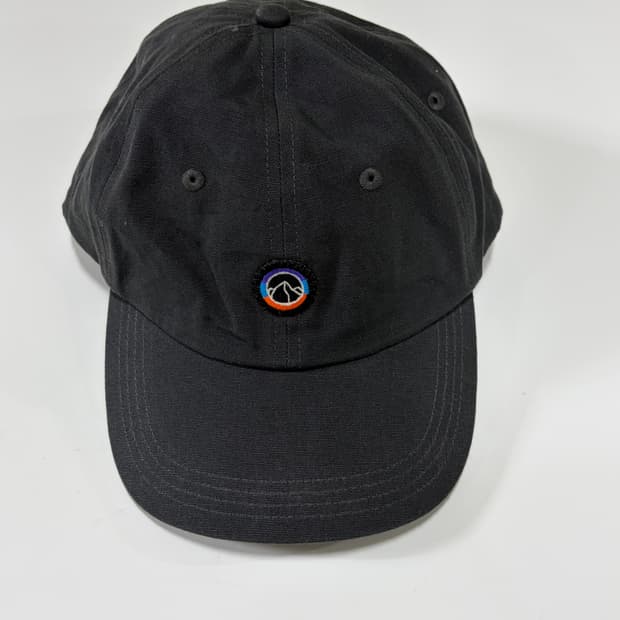 파타고니아(Patagonia) 피츠 로이 아이콘 트래드 캡