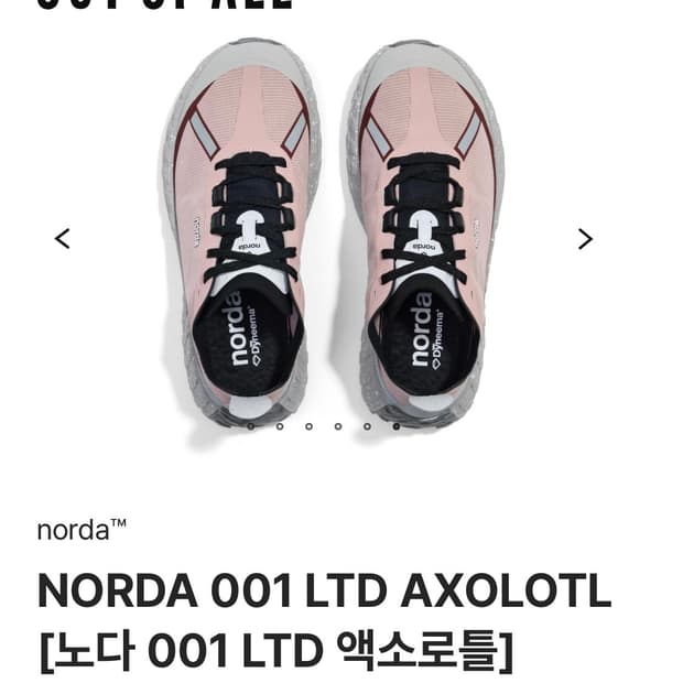 노다 norda 러닝화 001 LTD 엑소로틀 38.5 25cm