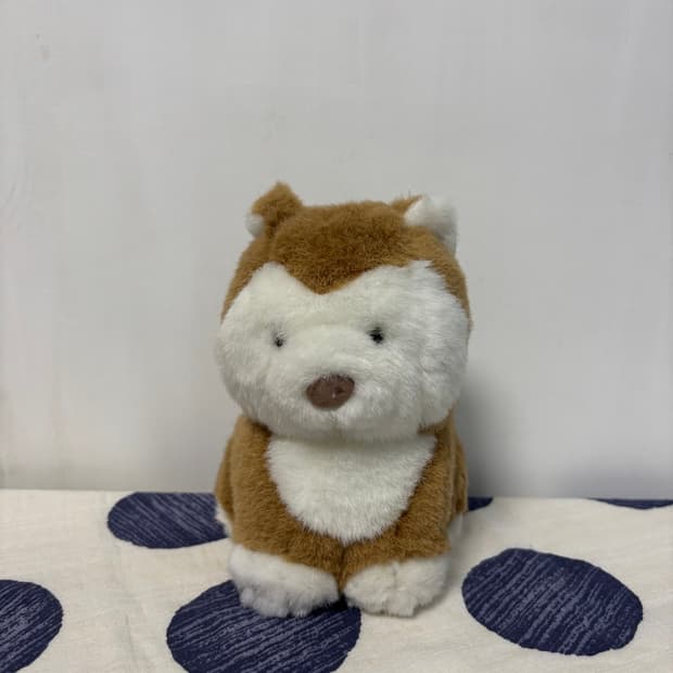 시바인형