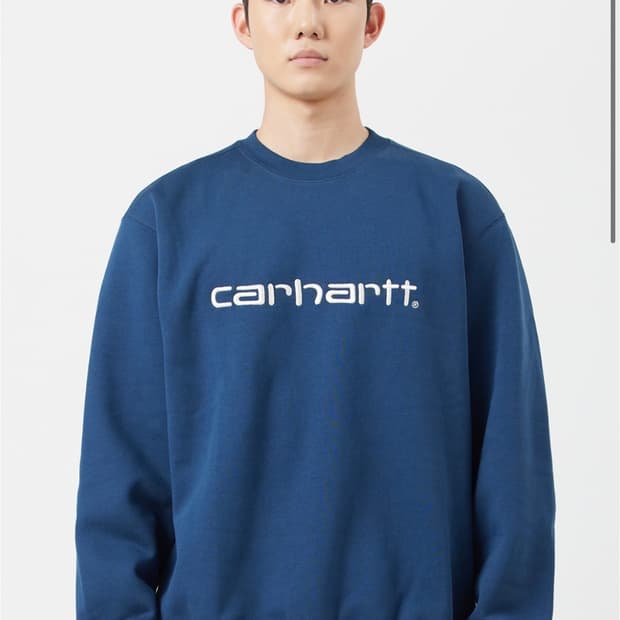 칼하트 맨투맨 칼하트 스웻셔츠 스퀴드 솔트