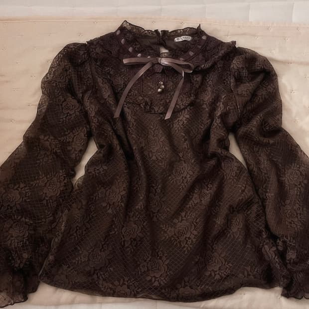 axes femme 앤틱 로즈 레이스 시스루 블라우스 짜잔씨 리즈리사