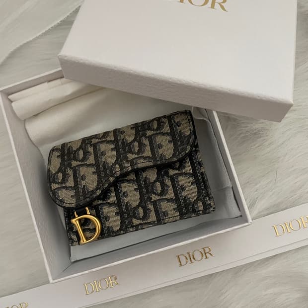 디올 오블리크 새들 카드지갑 베이지