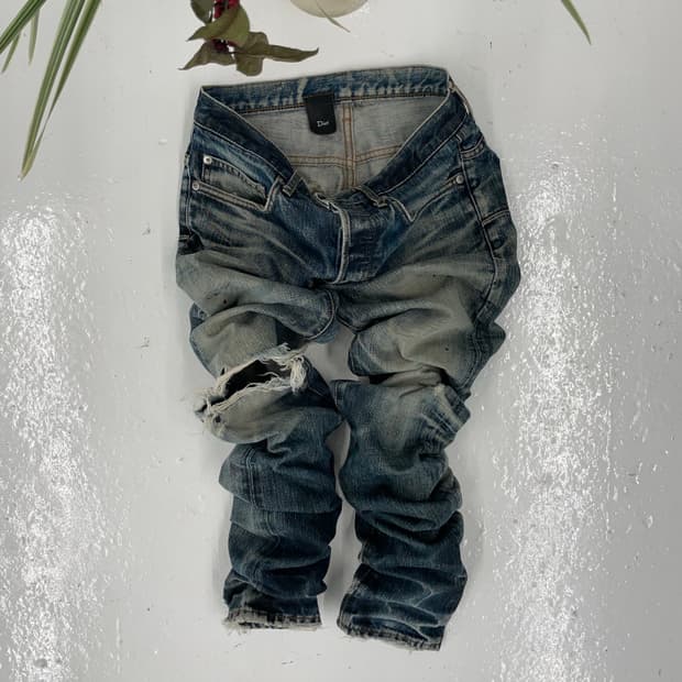 dior 아카이브 페인티드 디스진