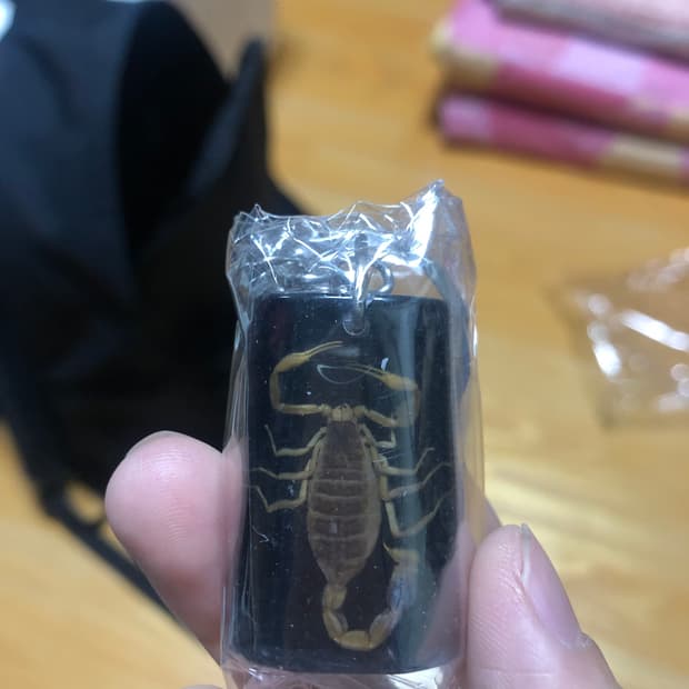 2. 실제 전갈 키홀더 키체인 블랙 열쇠고리