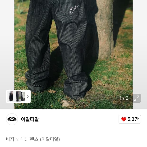 ertr스트라이프 팬츠
