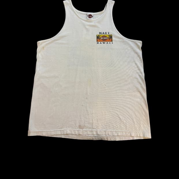 할리 데이비슨 그래픽  나시