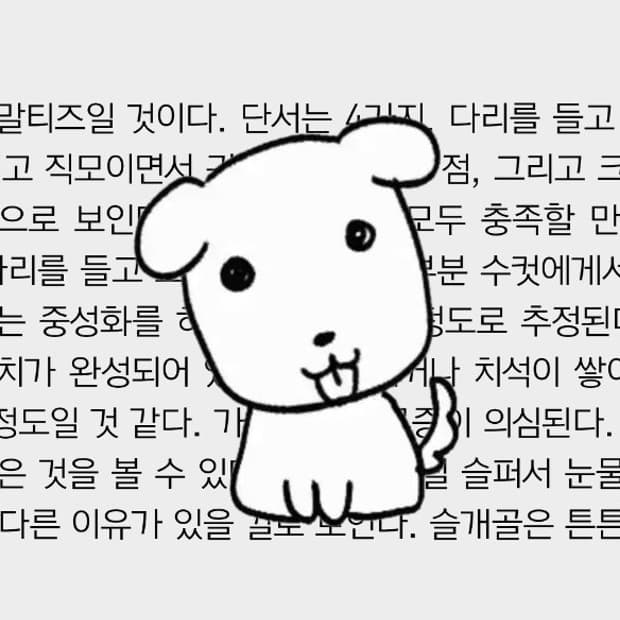 결제창