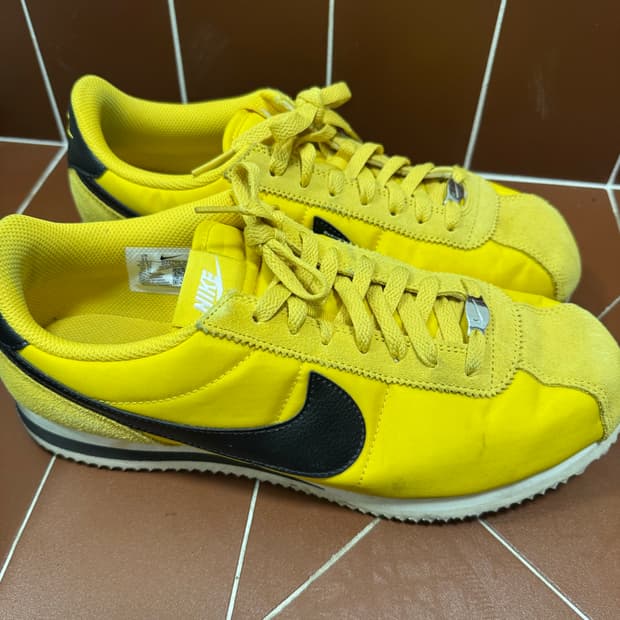 코르테즈 옐로우 280