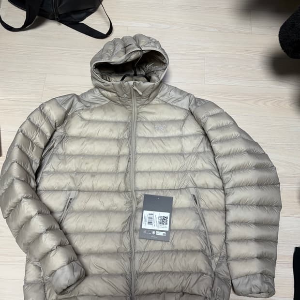 아크테릭스 세륨 후디 룬 판매 XL