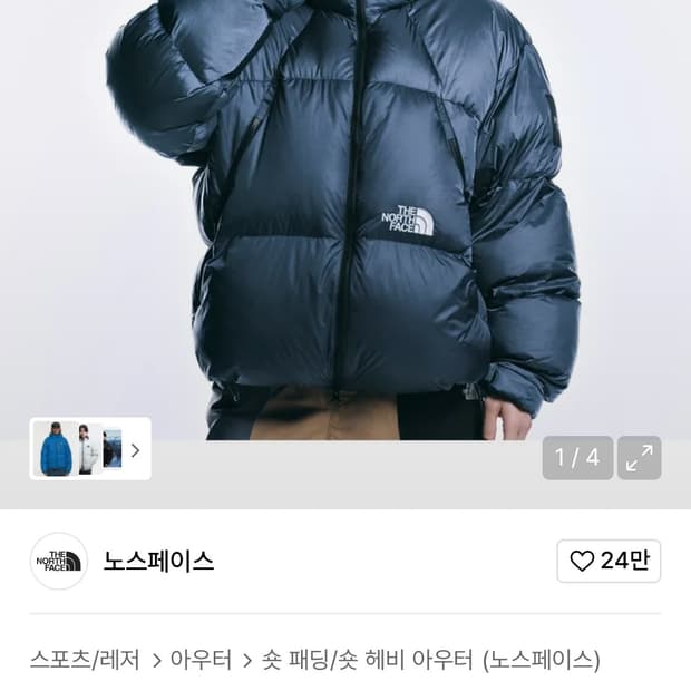 노스페이스 프로젝트 다운 