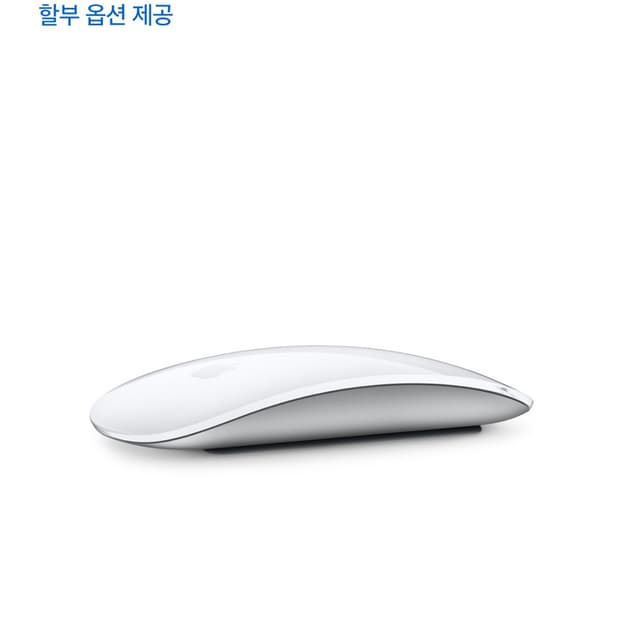 애플 매직 마우스 (USB-C) 화이트