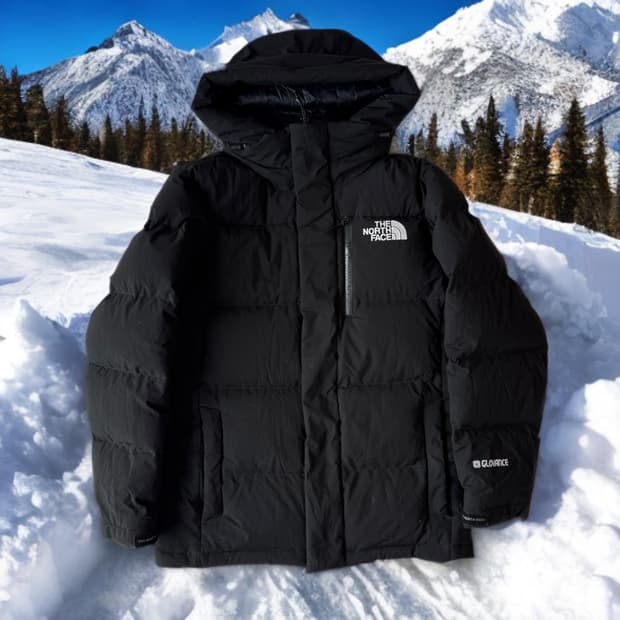 노스페이스 RDS 신형 구스다운 패딩 블랙