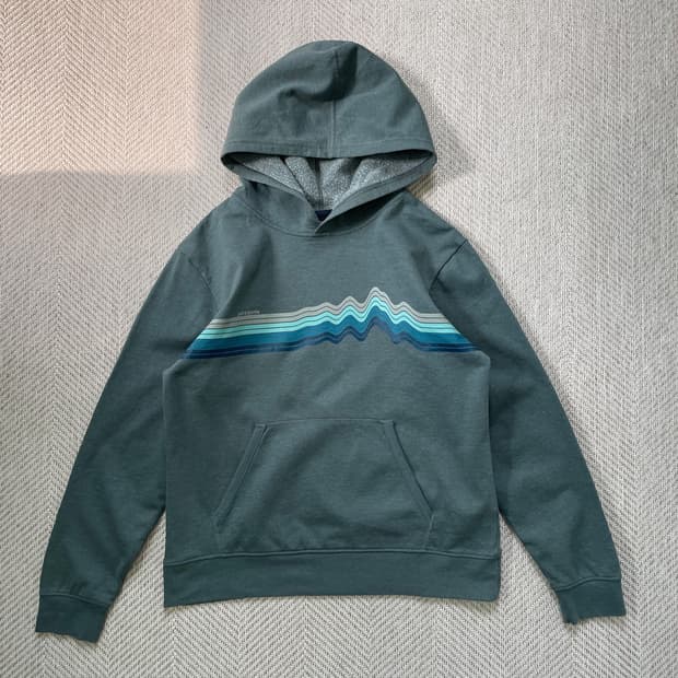 Patagonia 파타고니아 후드티 