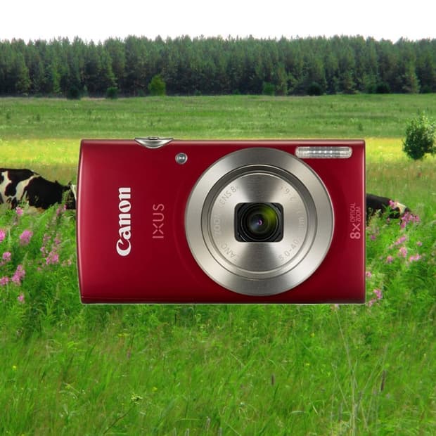 📸 캐논 IXUS 185 (IXY200) 빈티지 디지털카메라 판매