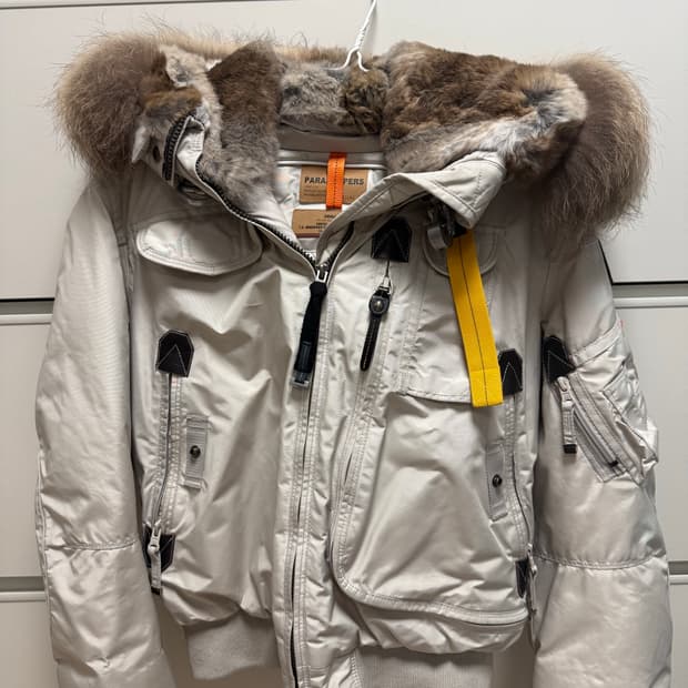 파라점퍼스 고비