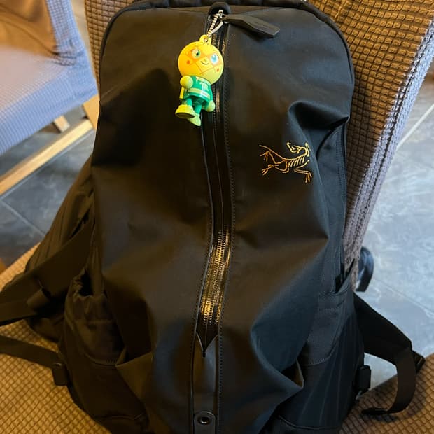 아크테릭스 아로 16  블랙 (arro 16 backpack black)