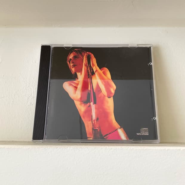 Iggy and the stooges