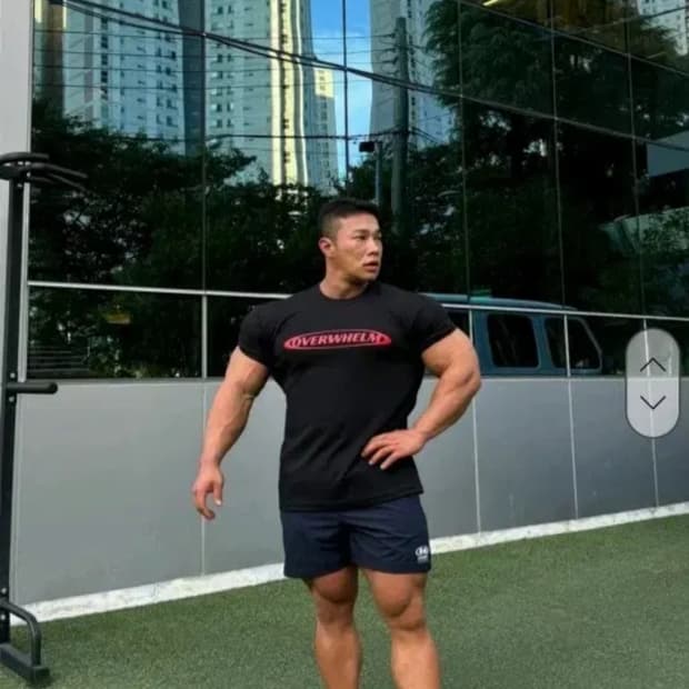 압도 우레고 반팔티 L사이즈