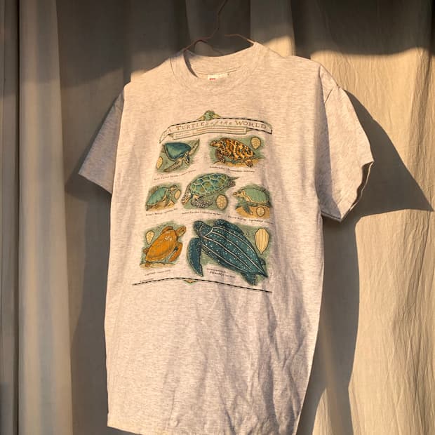 hanes 🐢프린팅 멜란지그레이 T