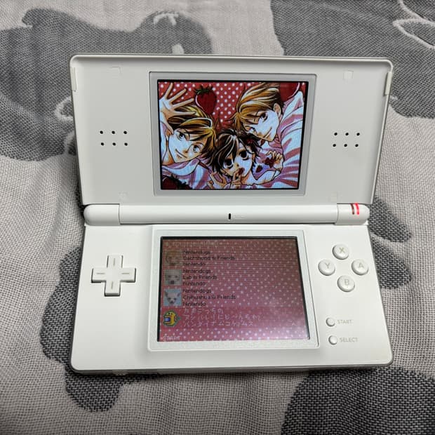 닌텐도 DS lite 화이트 일괄