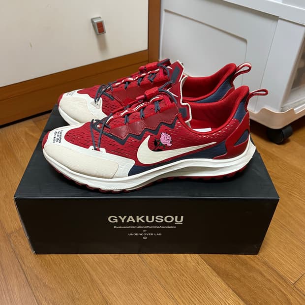 나이키 갸쿠소우 페가수스36