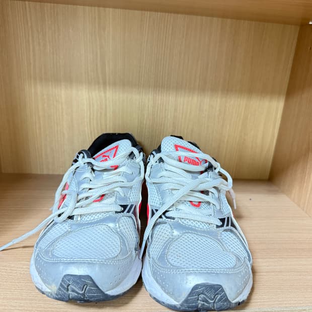 퓨마 런닝화 255