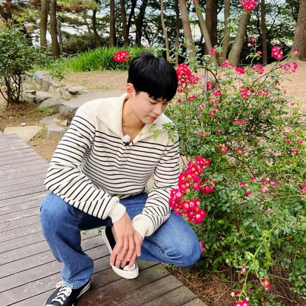 [박보검님 착용] 셀린느 마린 오픈카라 스웨터