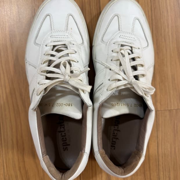 스펙테이터/서비스 트레이너(180-002)/41(260)