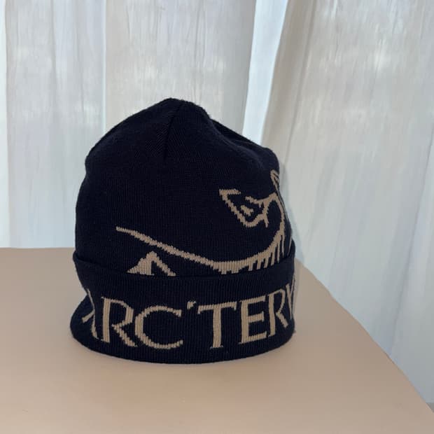 아크테릭스비니