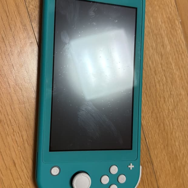 닌텐도 스위치 라이트