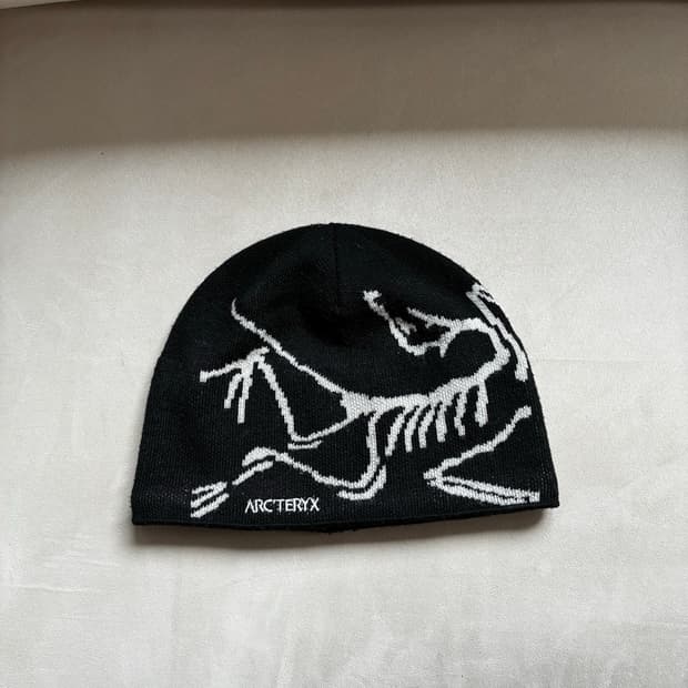 아크테릭스 ARCTERYX 비니