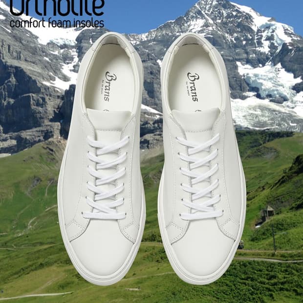 [275] 브랜즈 알프스