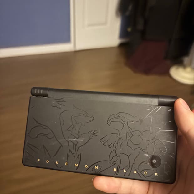 닌텐도 Ds 블랙 한정판